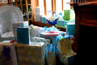 Meg's Final Baby Shower Pictures-0002